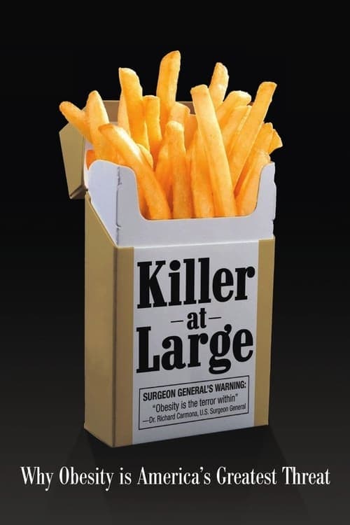 Killer at Large (2008) Movie Poster