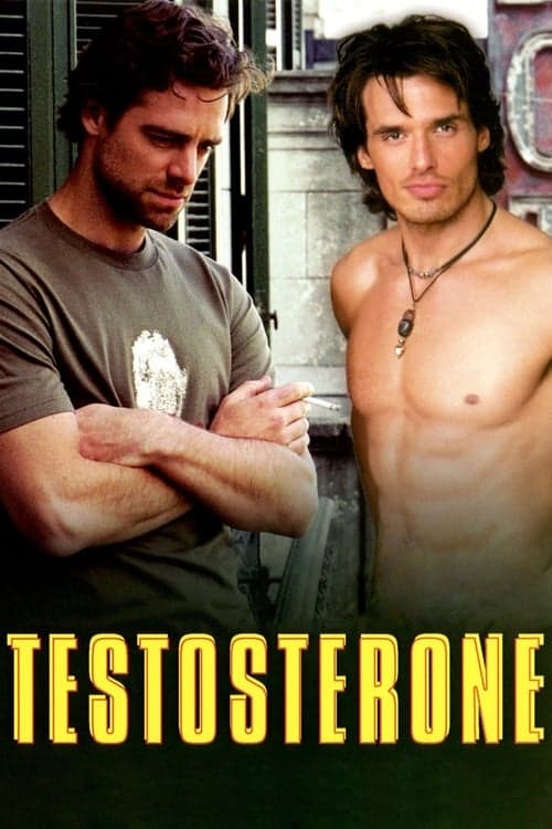 Testosterone (2003) Movie Poster