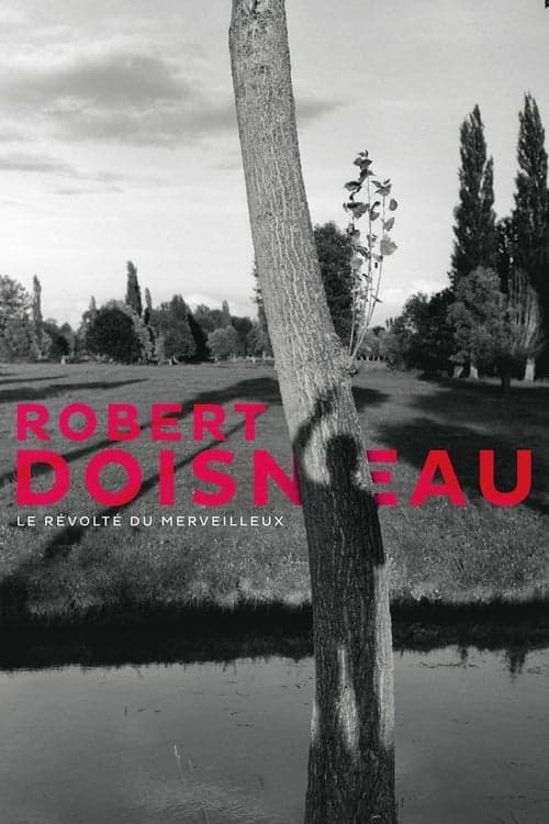 Robert Doisneau: Through the Lens (2017) Movie Poster