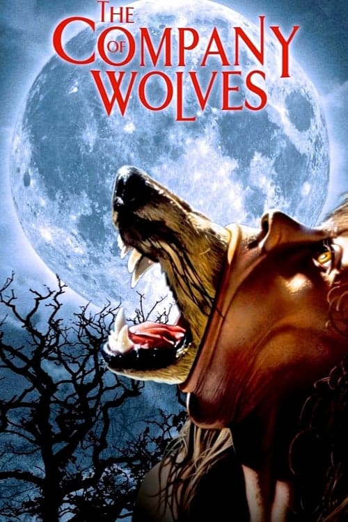 The Company of Wolves (1984) Movie Poster