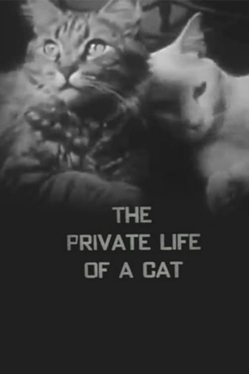 The Private Life of a Cat (1946) Movie Poster