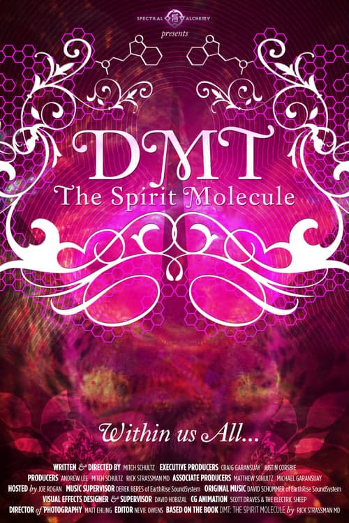 DMT: The Spirit Molecule (2010) Movie Poster