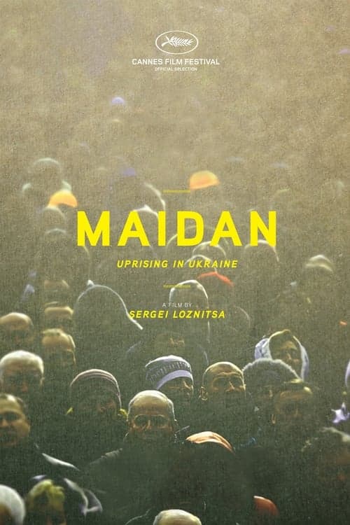 Maidan (2014) Movie Poster