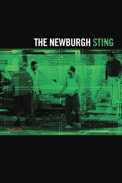 The Newburgh Sting (2014) Movie Poster