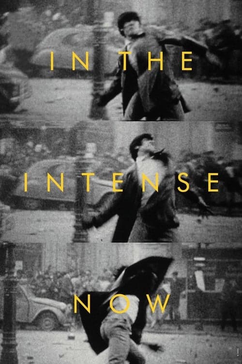 In the Intense Now (2017) Movie Poster