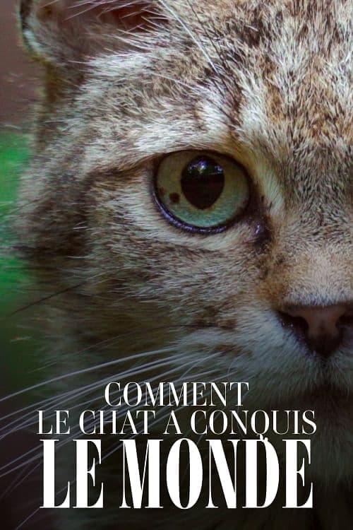 Comment le chat a conquis le monde (2020) Movie Poster