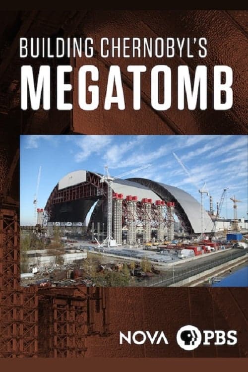 Inside Chernobyl's Mega Tomb (2016) Movie Poster