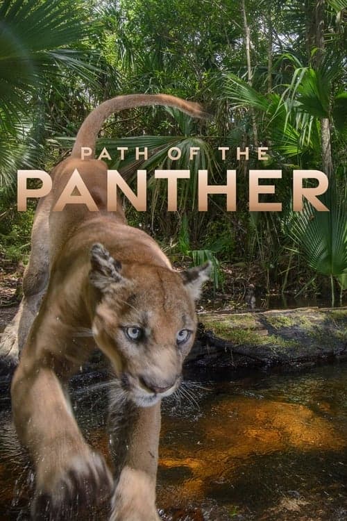 Path of the Panther (2022) Movie Poster