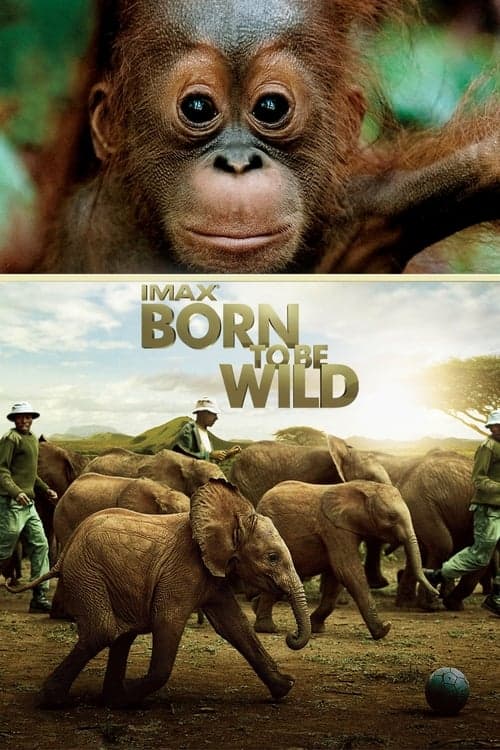 Born to Be Wild (2011) Movie Poster