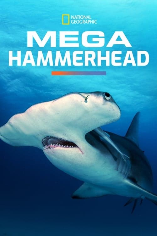 Mega Hammerhead (2016) Movie Poster