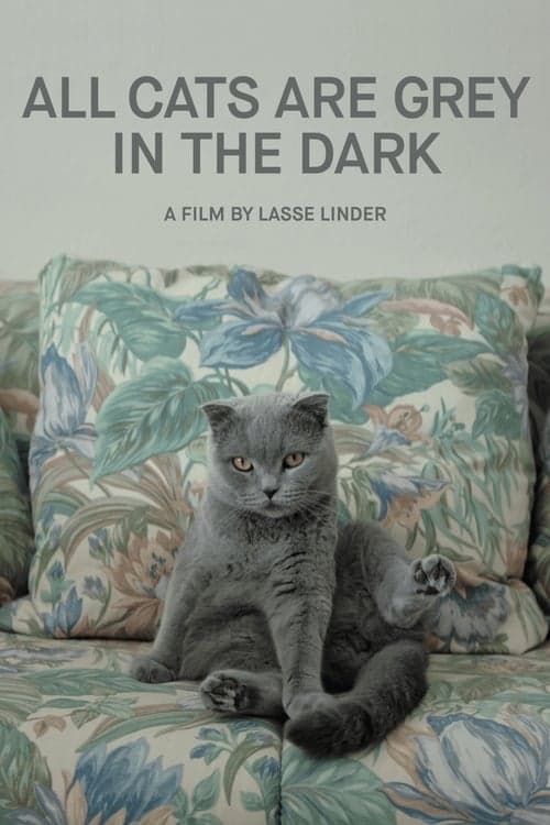 All Cats Are Grey in the Dark (2019) Movie Poster