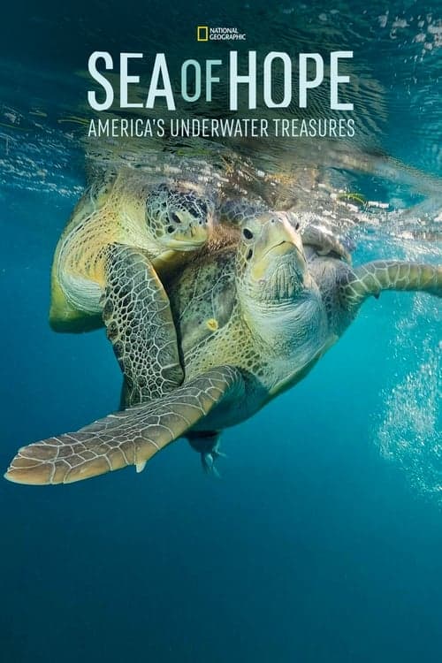 Sea of Hope: America's Underwater Treasures (2017) Movie Poster