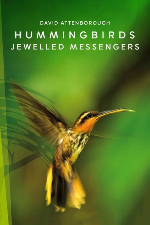 Hummingbirds: Jewelled Messengers (2012) Movie Poster