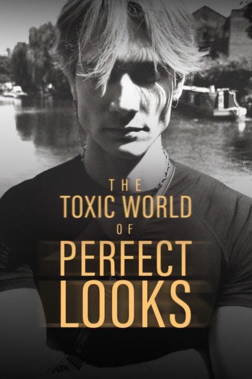 The Toxic World Of Perfect Looks (2025) Movie Poster