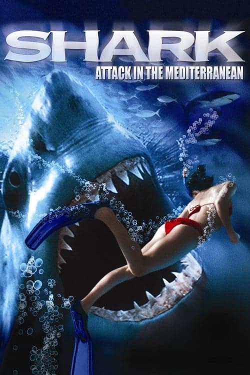 Shark Attack in the Mediterranean (2004) Movie Poster