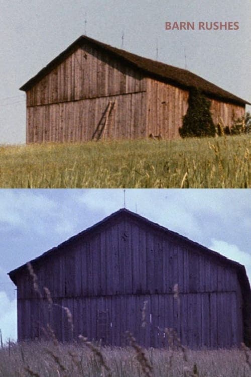 Barn Rushes (1971) Movie Poster