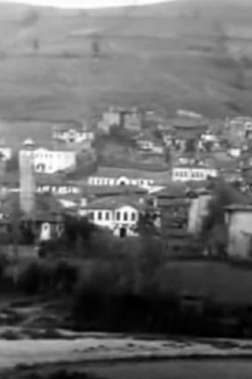 Panorama of the City of Grevena (1911) Movie Poster