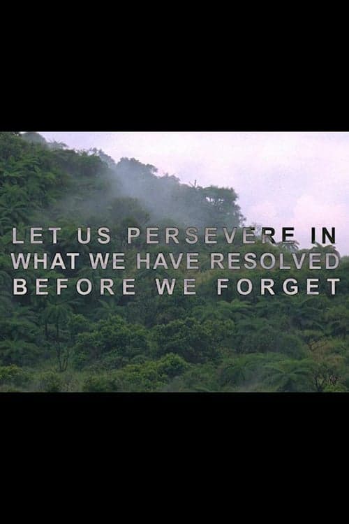 Let Us Persevere in What We Have Resolved Before We Forget (2013) Movie Poster