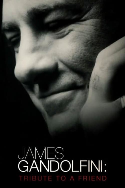 James Gandolfini: Tribute to a Friend (2013) Movie Poster