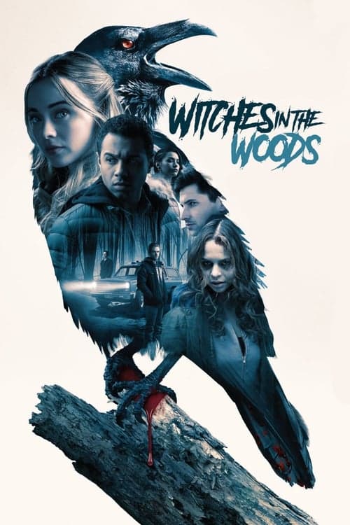 Witches in the Woods (2019) Movie Poster