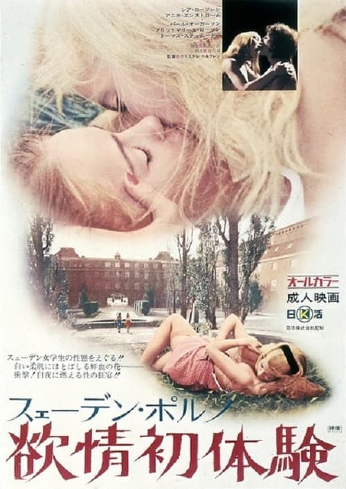 Swedish Porno: Desire First Sex Experience (1971) Movie Poster