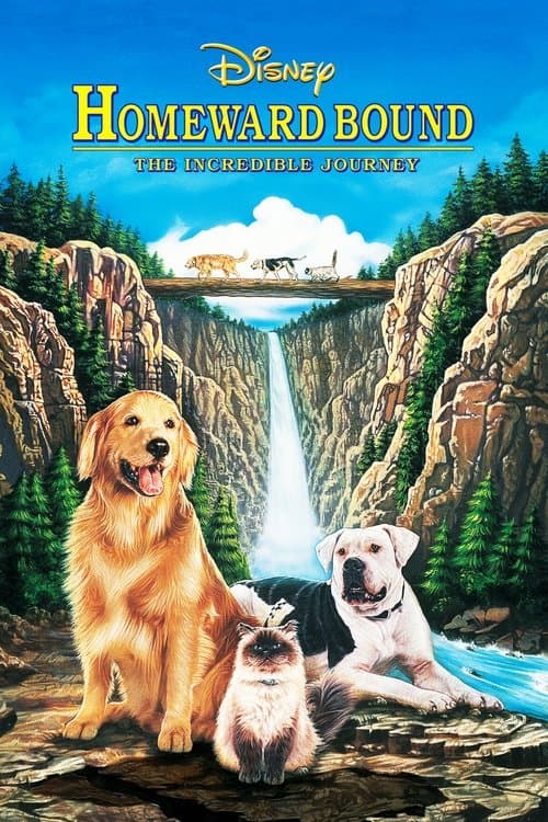 Homeward Bound: The Incredible Journey (1993) Movie Poster