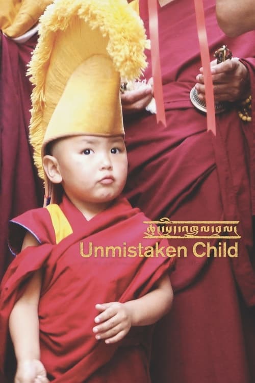 Unmistaken Child (2009) Movie Poster