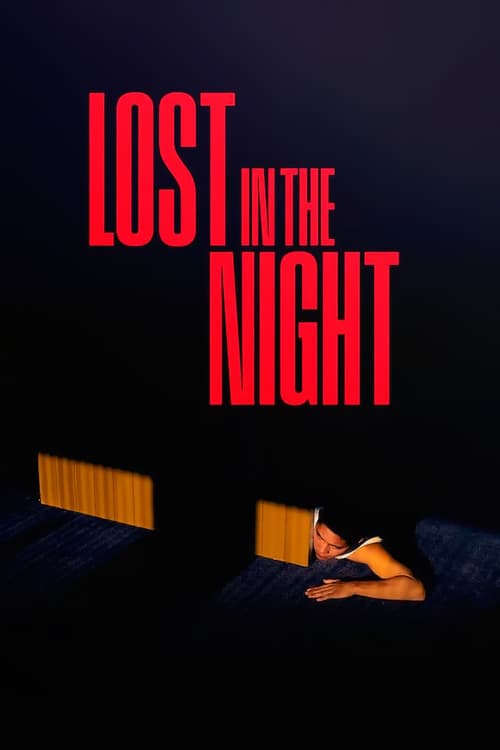 Lost in the Night (2023) Movie Poster