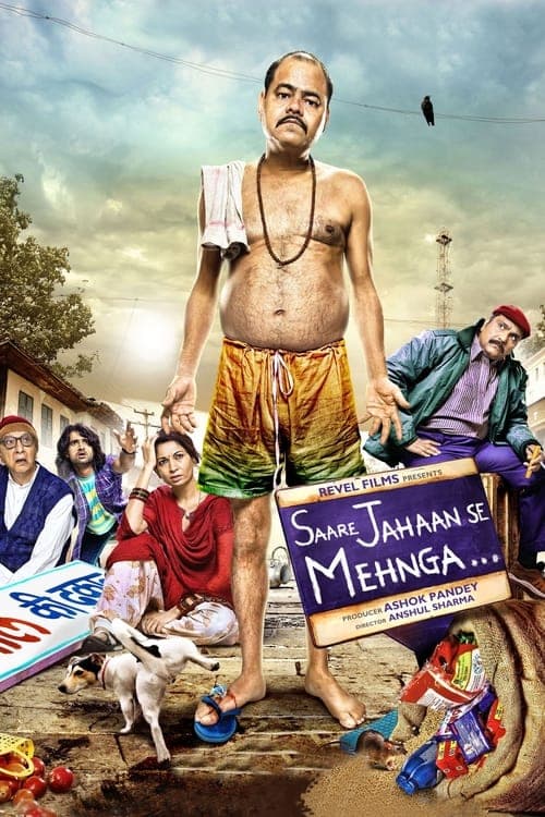 Saare Jahaan Se Mehnga (2013) Movie Poster