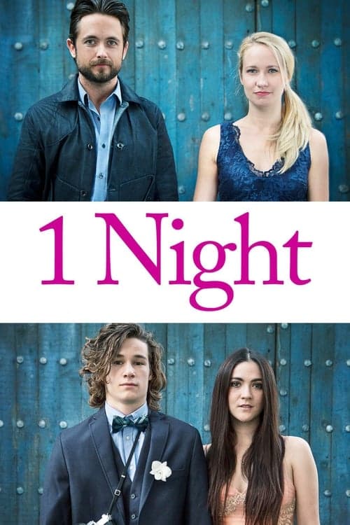 1 Night (2016) Movie Poster