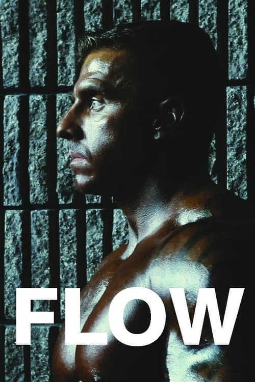 Flow (2012) Movie Poster