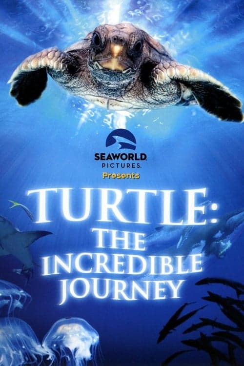 Turtle: The Incredible Journey (2009) Movie Poster