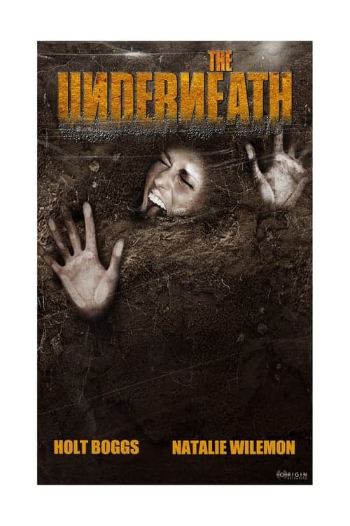 The Underneath (2013) Movie Poster