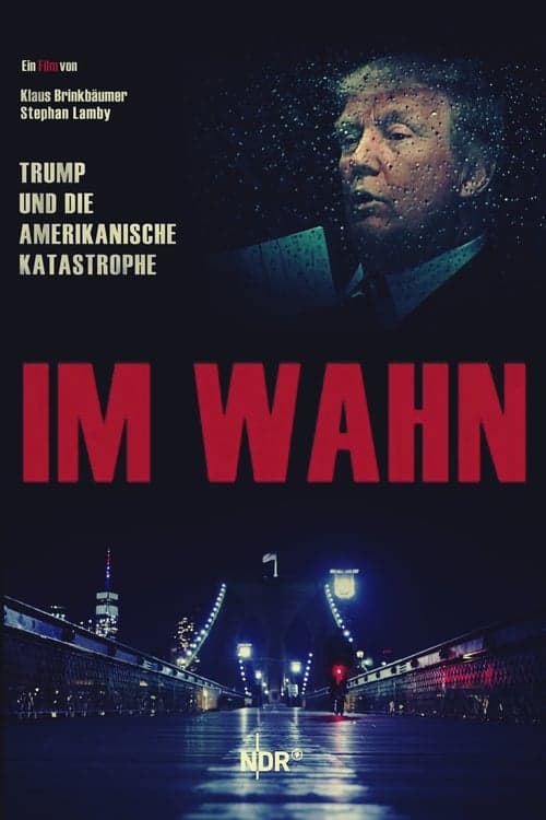 In Delusion: Trump and the American Catastrophe (2020) Movie Poster