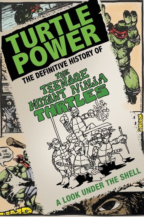 Turtle Power: The Definitive History of the Teenage Mutant Ninja Turtles (2014) Movie Poster