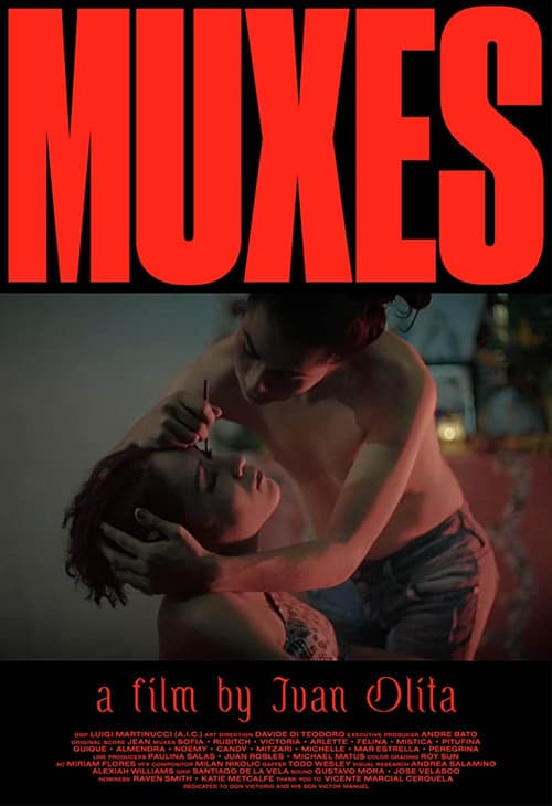 Muxes (2016) Movie Poster