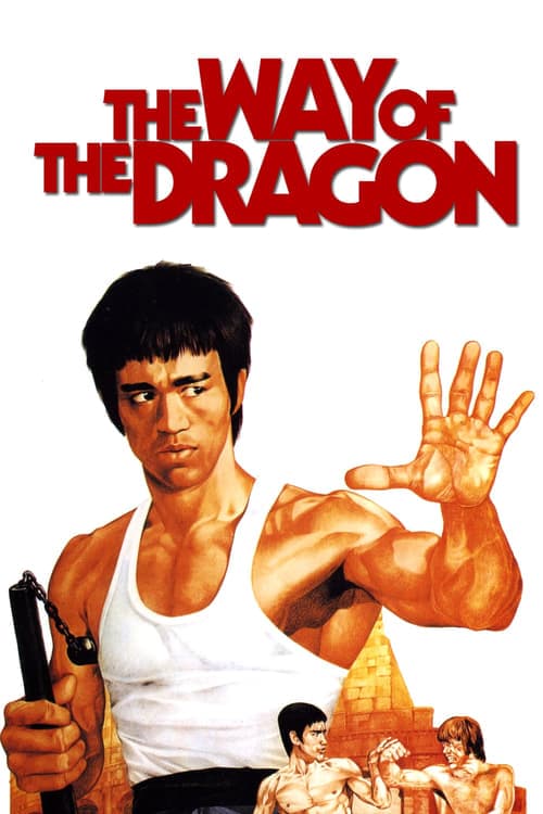 The Way of the Dragon (1972) Movie Poster