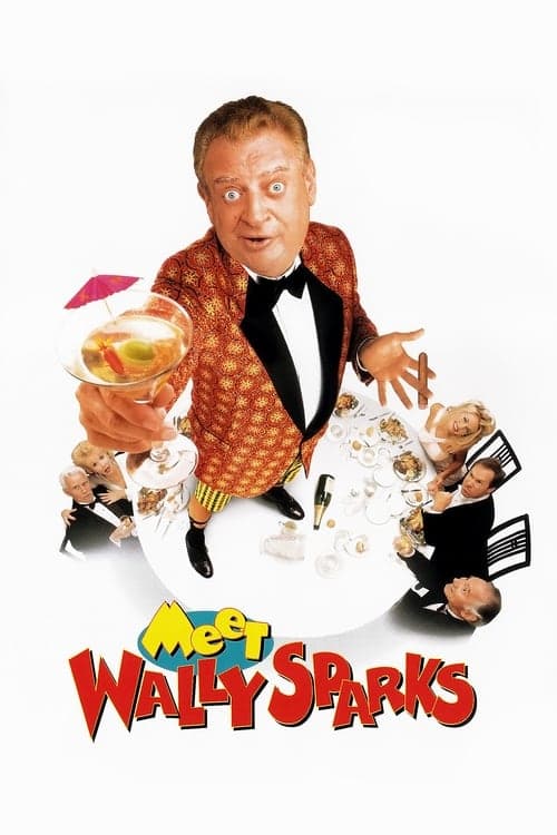 Meet Wally Sparks (1997) Movie Poster