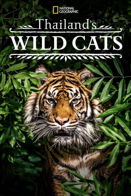 Thailand's Wild Cats (2021) Movie Poster