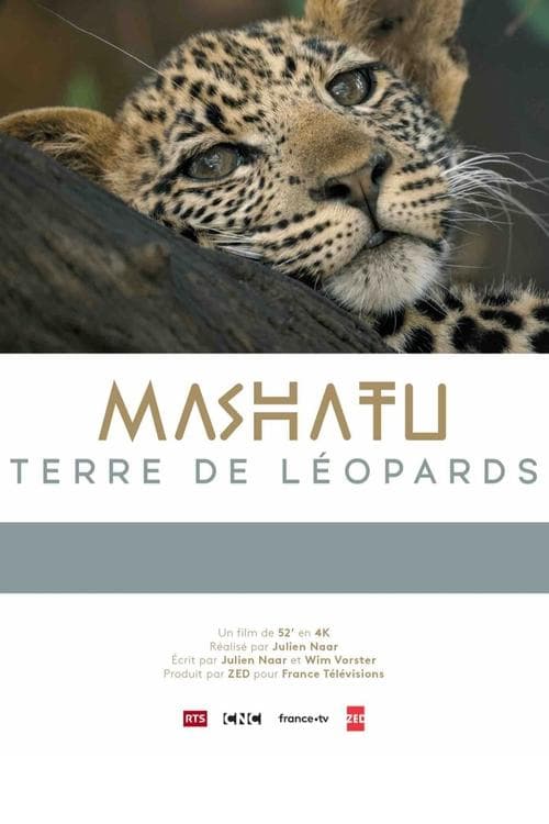 Mashatu, terre de léopards (2024) Movie Poster