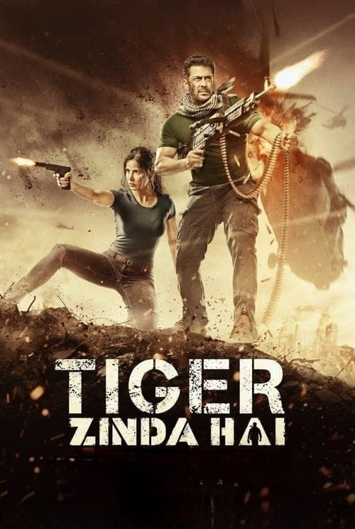 Tiger Zinda Hai (2017) Movie Poster