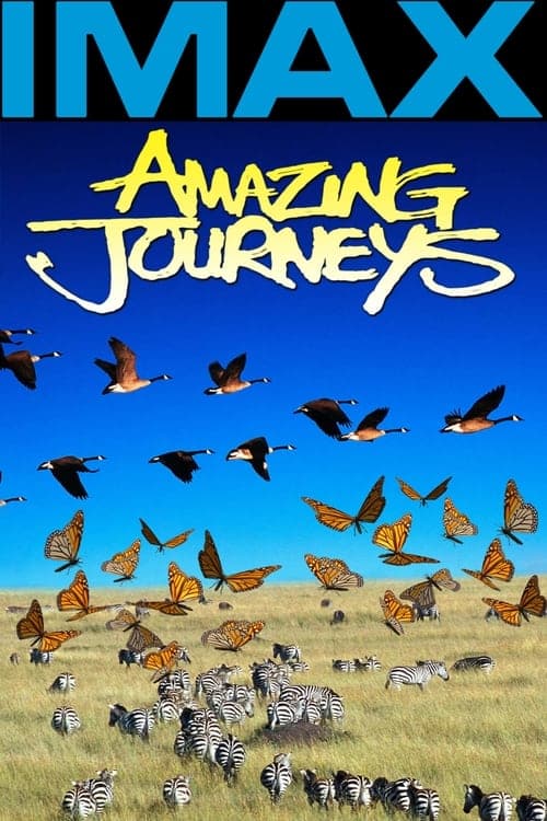 Amazing Journeys (1999) Movie Poster