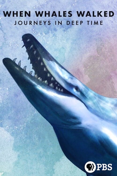 When Whales Walked: Journeys in Deep Time (2019) Movie Poster