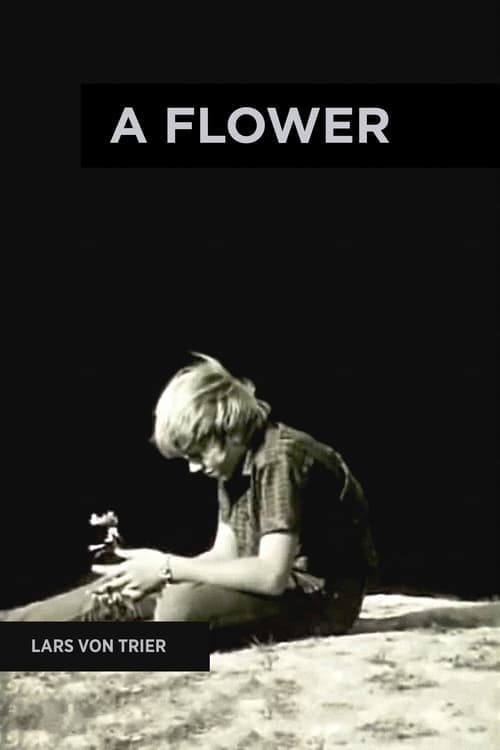 A Flower (1971) Movie Poster