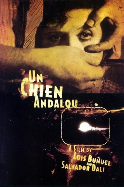 Un Chien Andalou (1929) Movie Poster