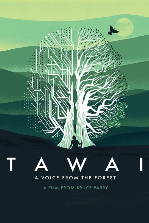 Tawai: A Voice from the Forest (2017) Movie Poster