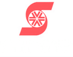 Salon Films