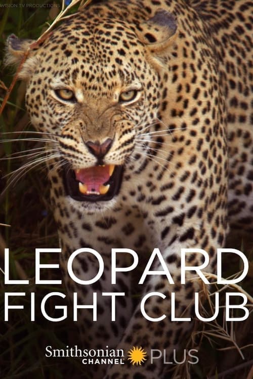 Leopard Fight Club (2013) Movie Poster