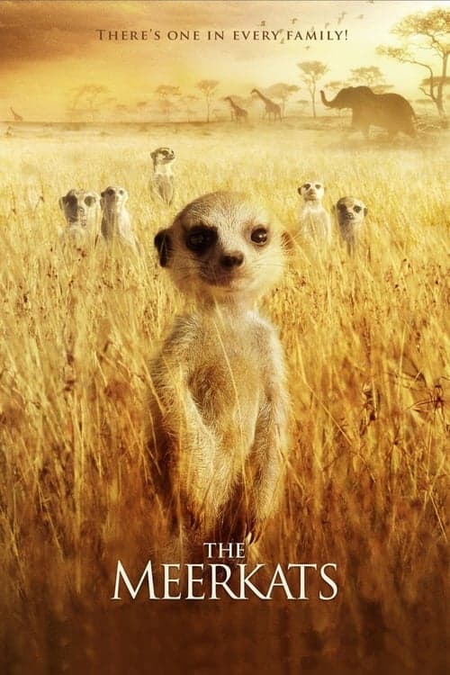 The Meerkats (2008) Movie Poster