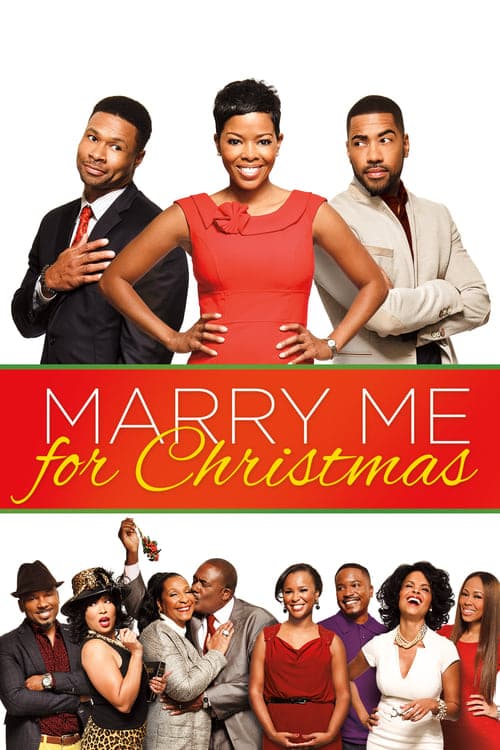 Marry Me For Christmas (2013) Movie Poster